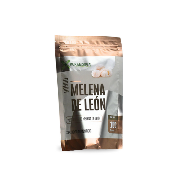 HONGO MELENA DE LEON POLVO 100 G