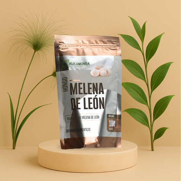 HONGO MELENA DE LEON POLVO 100 G