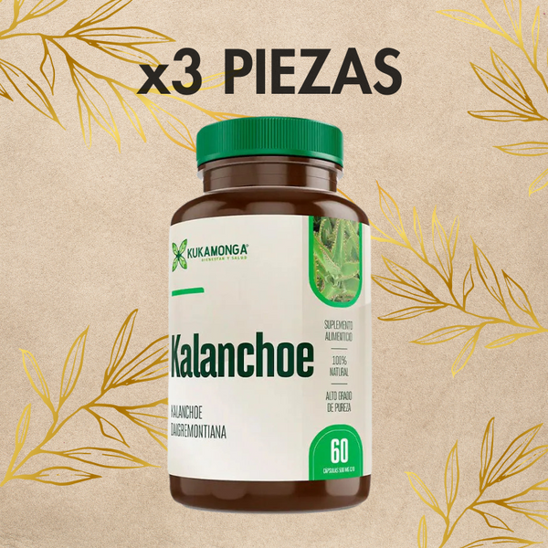 KALANCHOE 3 PZAS