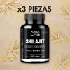 SHILAJIT 3 PIEZAS
