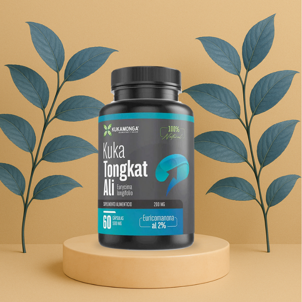 TONGKAT ALI 60 CAPSULAS 500 MG