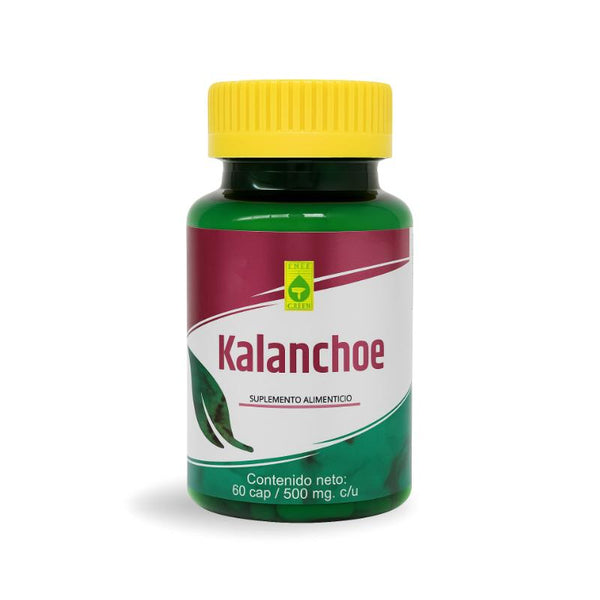 KALANCHOE 60 CAPS