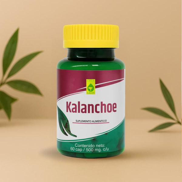 KALANCHOE 60 CAPS