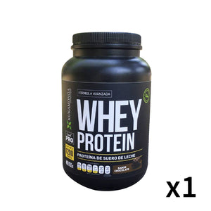 WHEY PROTEIN CHOCOLATE 1200gr