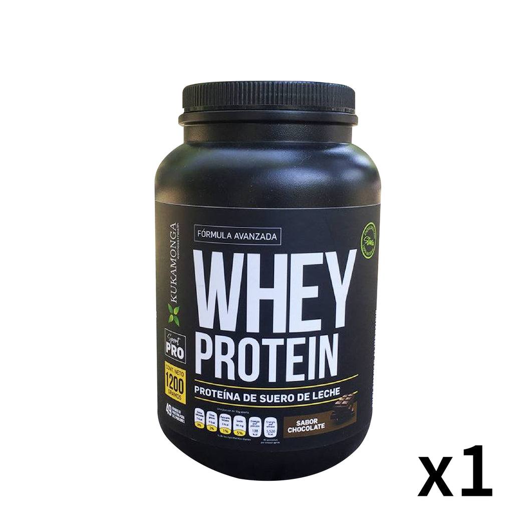 WHEY PROTEIN CHOCOLATE 1200gr